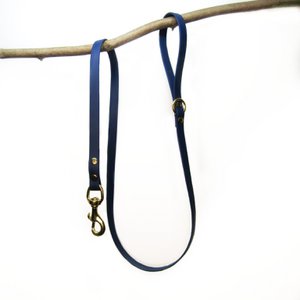 Standard dog leash