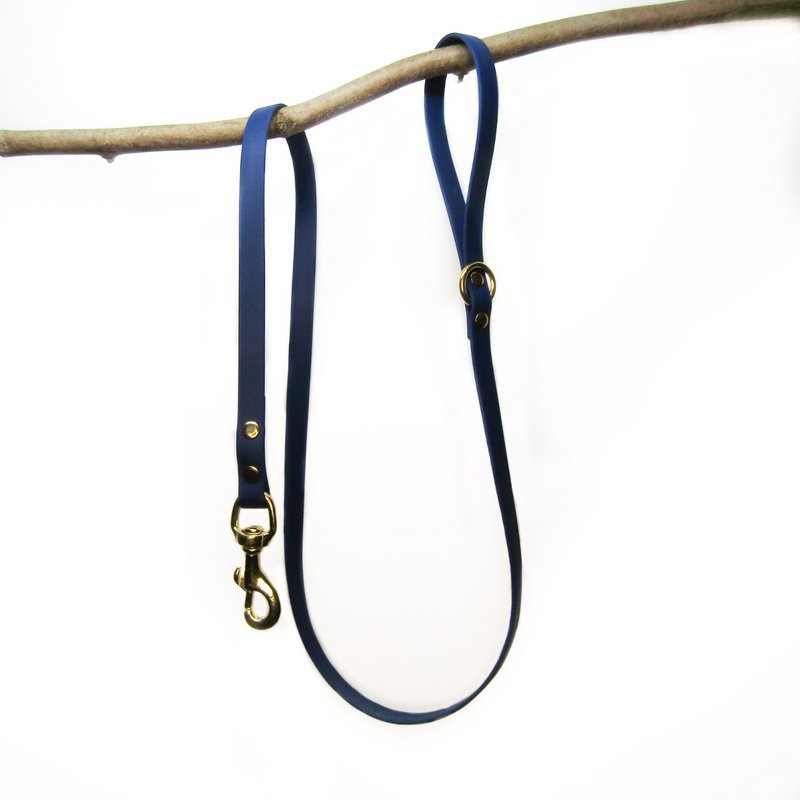 Standard dog leash