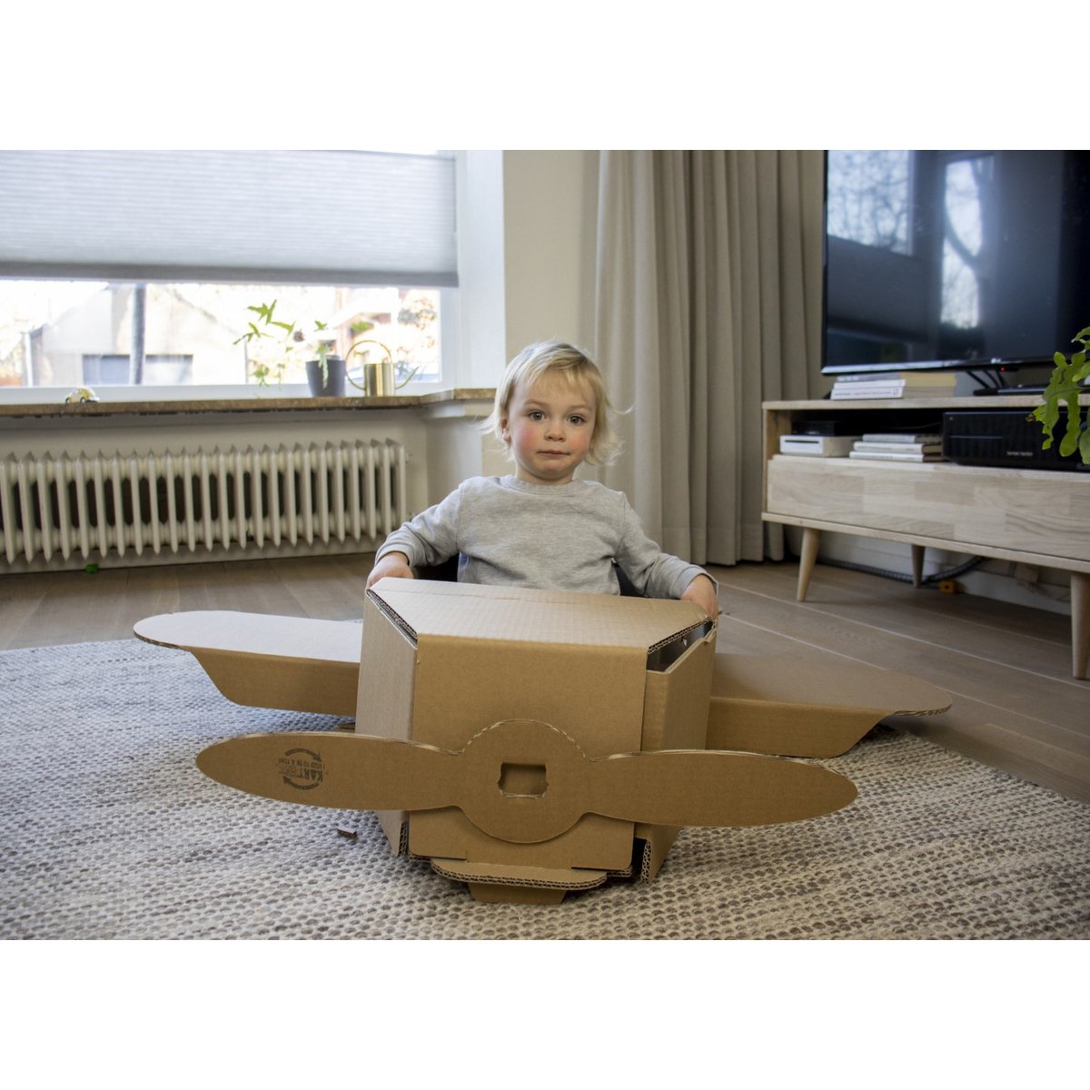 Grand avion jouet en carton