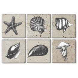  Set of 6 natural stone coasters featuring various seashell and marine life designs. Durable and absorbent, these coasters are perfect for protecting surfaces from water stains and scratches.