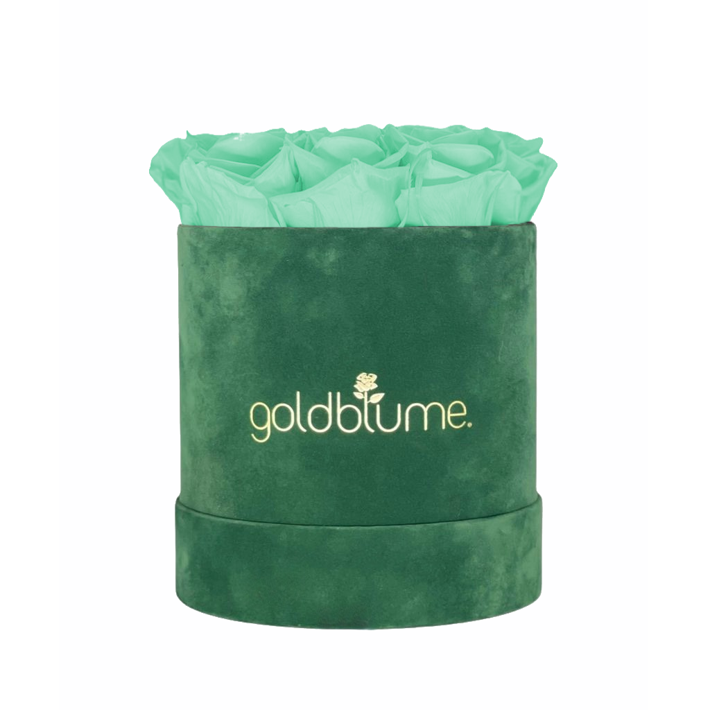 Velvet Green Collection