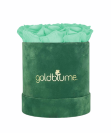 Velvet Green Collection