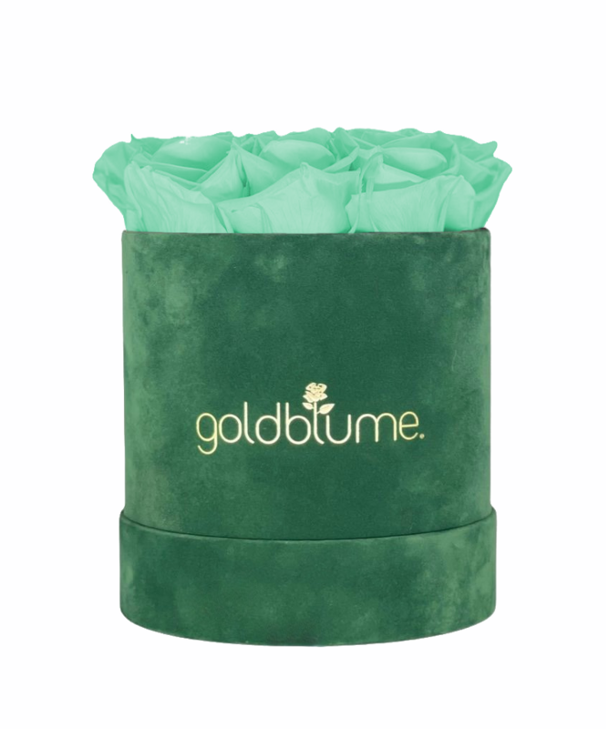 Velvet Green Collection