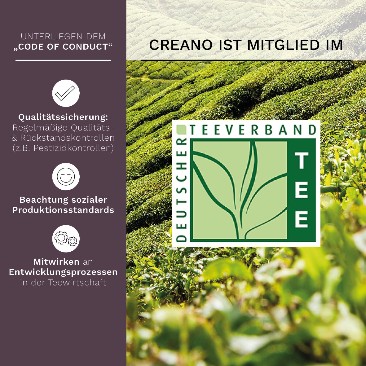 Magnetbox 6er Set ErblühTeelini Schwarztee