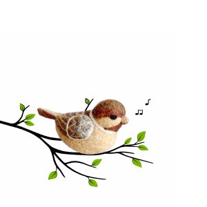 Vogelspatz (mus)