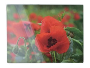 Aria Glass Board 30x40 cm
