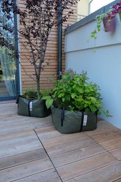 La Bolsa Verde M