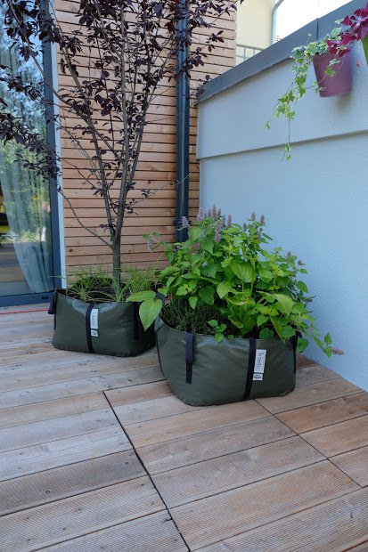 La Bolsa Verde M