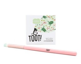 Totally Turtle Eyeshadow Box Set