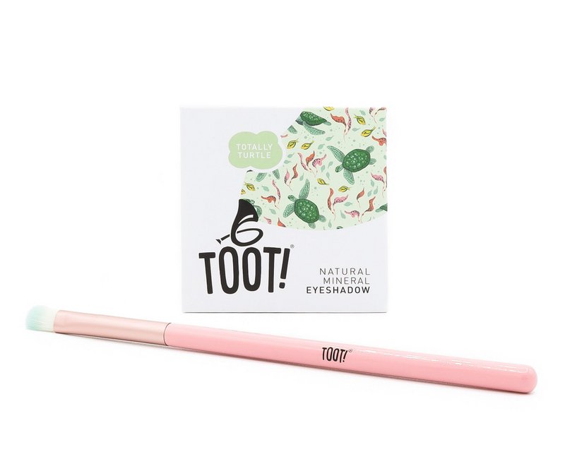 Totally Turtle Eyeshadow Box Set