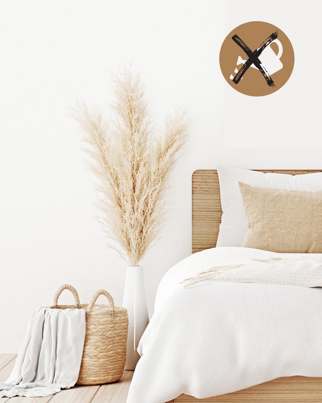 Pampas græs stor beige 120 cm