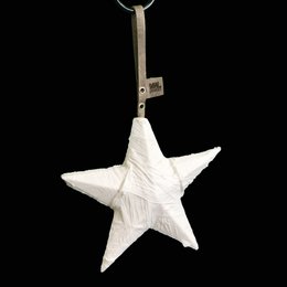 Stella di Natale Nova