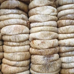 Golden Nuts