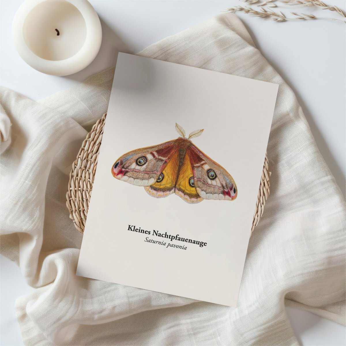 Postal nachtfauenauge, miniprint nachtfalter
