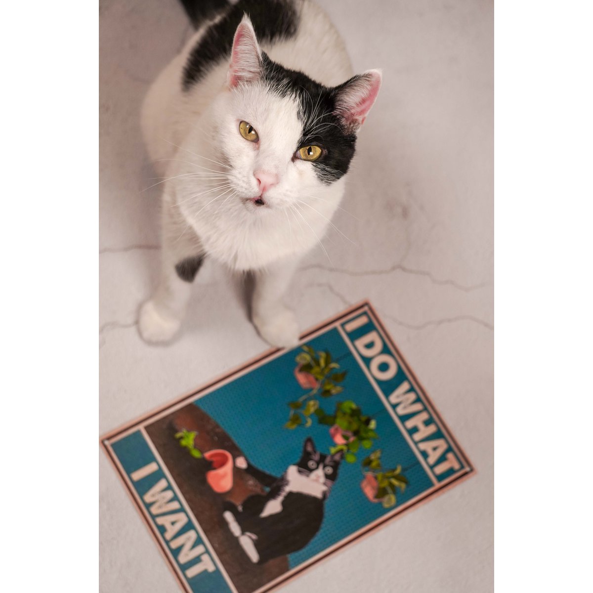 Targa in metallo Happy cat 2 20x30 cm Isabelle Rose