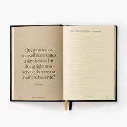 Bemærkninger til Mindfulness Journal, Daily Guided Reflection