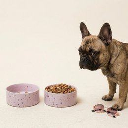 New Party Pet Bowl 16,5cm Set 2 Lilac