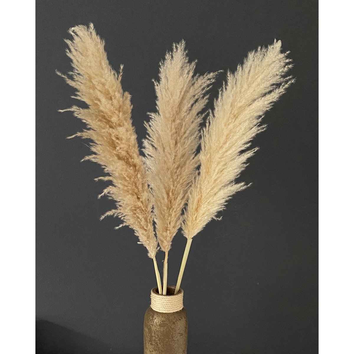Pampagras groot beige 120 cm