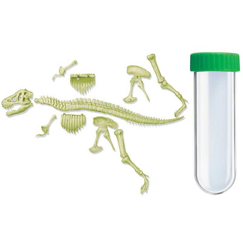 Lo scheletro di T-Rex si illumina al buio