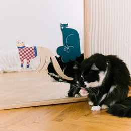 Pickle decoration in the shape of cat, wooden wall decor