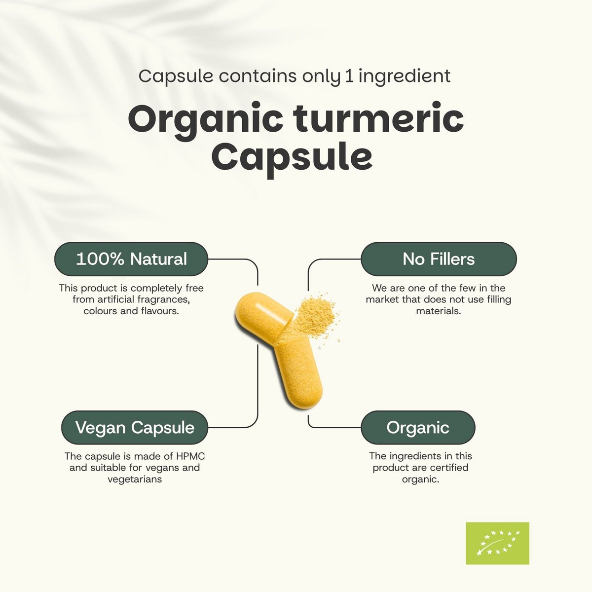Capsule di curcuma 600 mg organiche - 80 Capsule