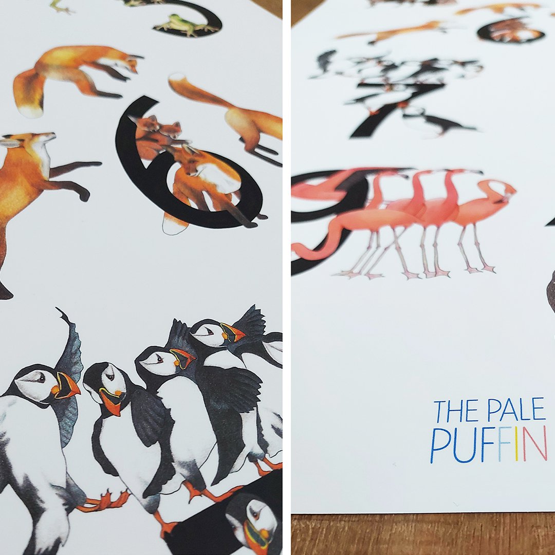 123 póster Animales - A1