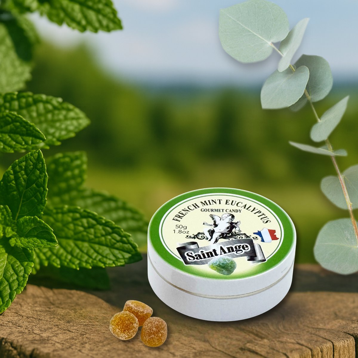 Heiliger Engel Minze Eukalyptus