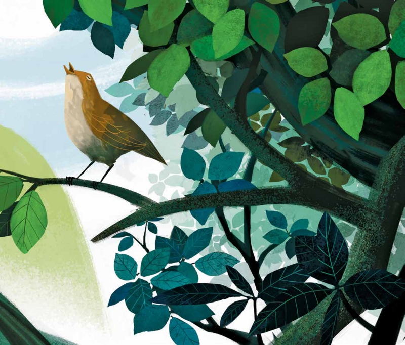 EN/DE/DK/CN - Illustrated Fairytale Børnebog - Nightingale - H.C. Andersen