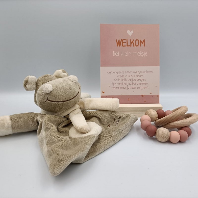 Christelijke kaart - Welkom lief klein meisje