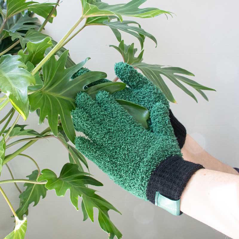 Leaf Love Gloves - Rękawiczki z mikrofibry do odkurzania roślin