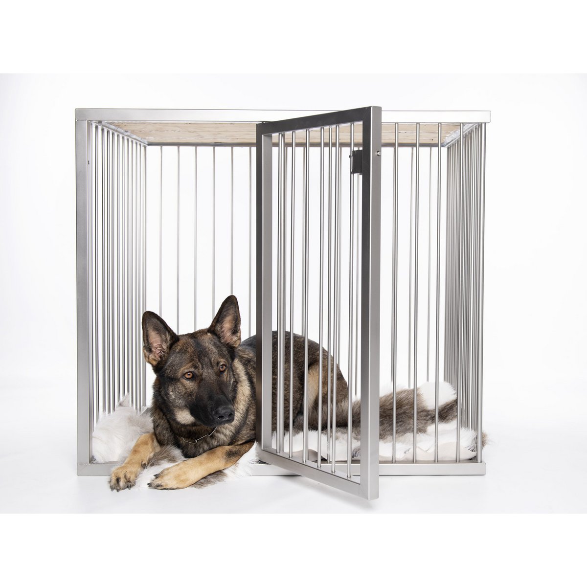 Dog Box Line Edition LOTTE Medium