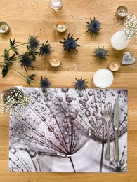 Placemats placemats 4 pieces washable at 7 in the morning from ARTIPICS plastic 42x30 cm