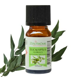 Etherische olie - Eucalyptus - 10 ml - Gebruik voor diffusie - Verpakt in Frankrijk