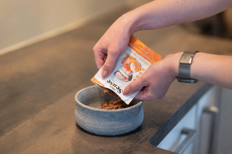 DIBAQ SENSE Cat Bites in Sauce Chicken with Salmon 100g