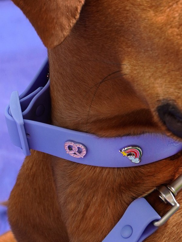 Rainbow Dog Collar Trailer
