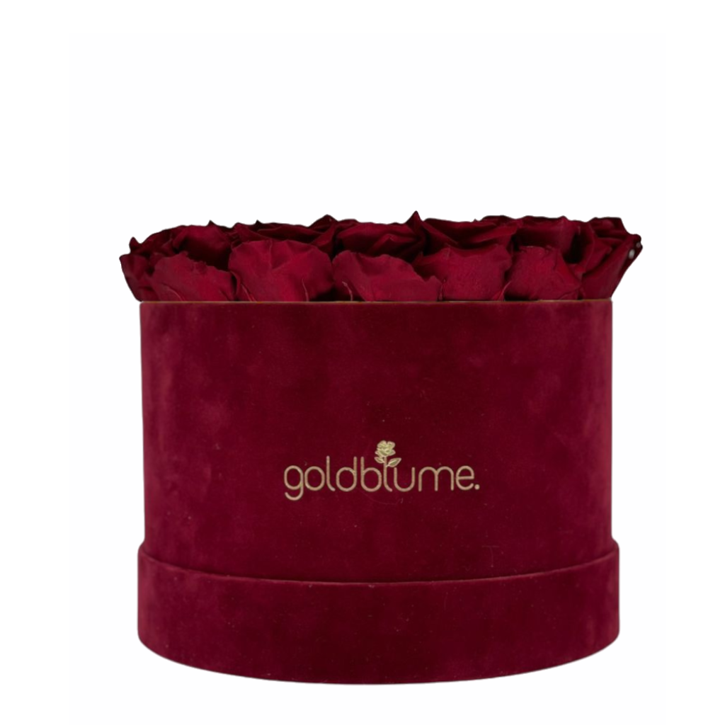 Collection Velours Bordeaux