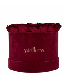 Velvet Bordeaux Collection