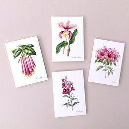 Handmade botanical postcards featuring vintage-inspired floral illustrations in pink, green, and purple hues. The cards showcase a variety of botanical elements including flowers, leaves, and stems.