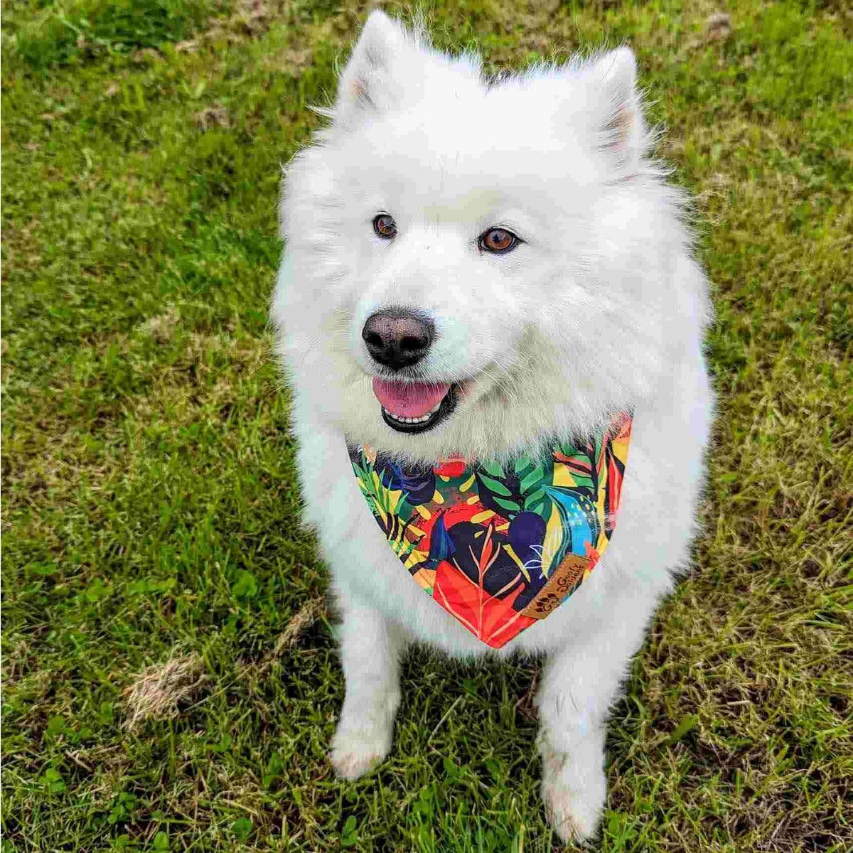 Collana tropicale e bandana