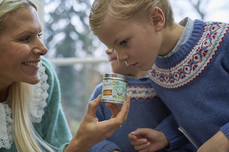 MIT ALLER 1. KRYDDEREMIX - INGEN TILFØJET SALT - INGEN TILSÆTNING - 37G - FRA 6 MÅNEDER