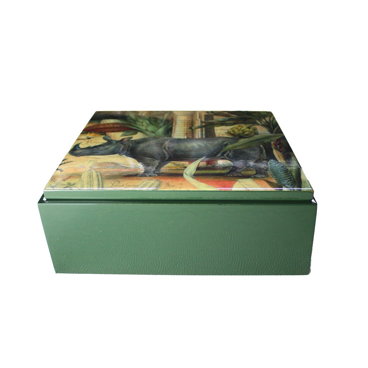 Box rhino palm trees antique painting square green