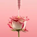 Balsamo labbra da giorno all'aroma di rosa 100% naturale e vegano: sfuso