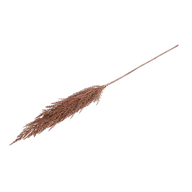 Kunstgras/pluim Cortaderia (Pampas)- L5B8H93CM