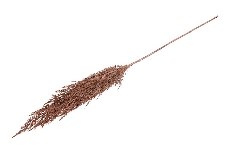 Kunstgras/pluim Cortaderia (Pampas)- L5B8H93CM