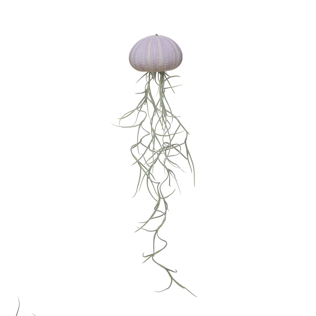 Jellyfish violet medium spanish moss