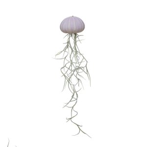 Jellyfish violet medium spanish moss