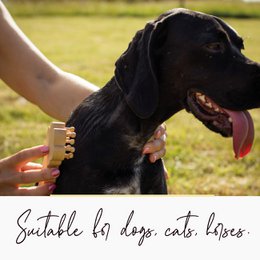 Spazzola Massaggiatrice in Legno per Cani, Gatti, Cavalli, Massaggio per Animali