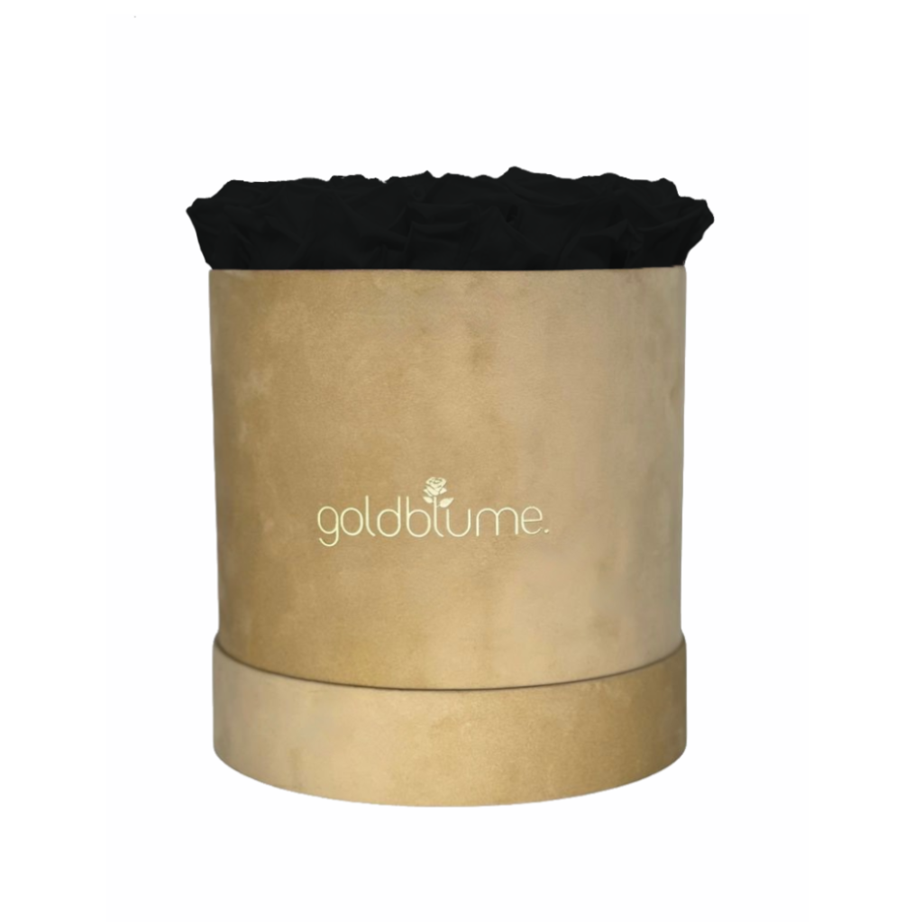 Colección Terciopelo Beige