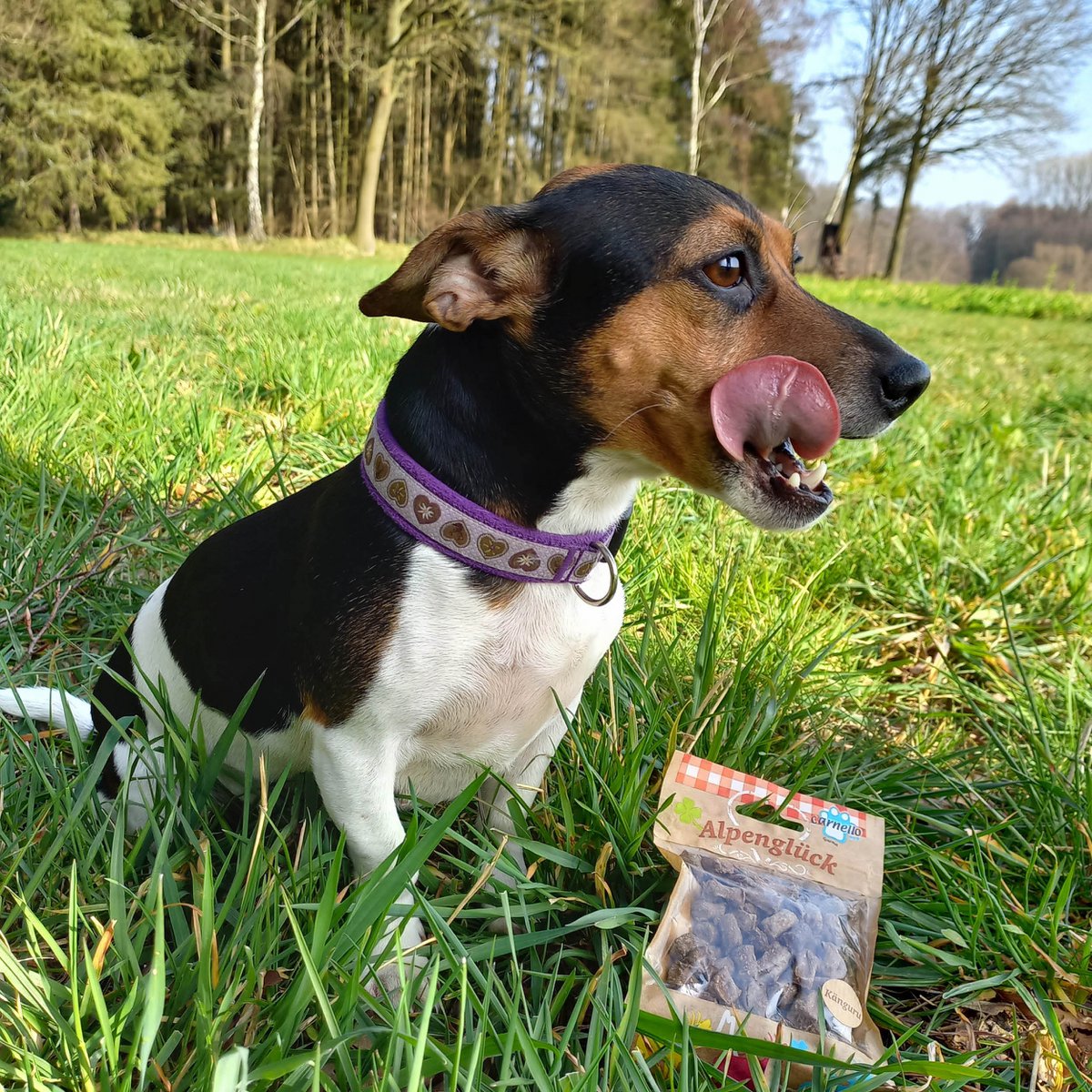 Dog snack Alpenglück Luftsprung 60g x 15