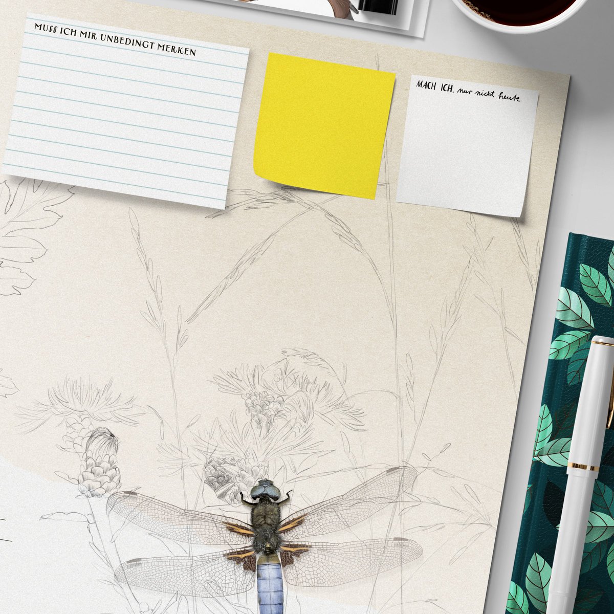 Desk Pad - Insectos